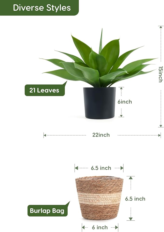 Rattan Pot Agave · 16 in