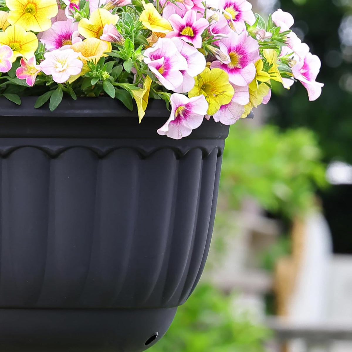 Hanging Planters · 12 in · Pair