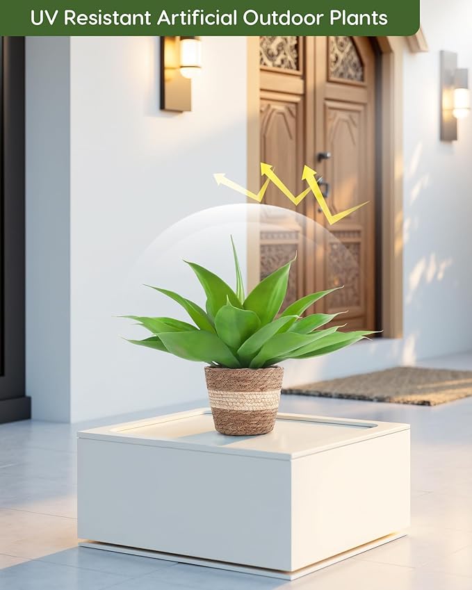 Rattan Pot Agave · 16 in