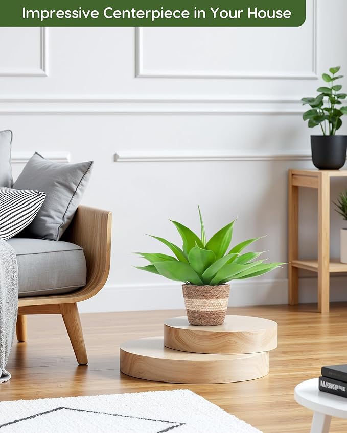 Rattan Pot Agave · 16 in