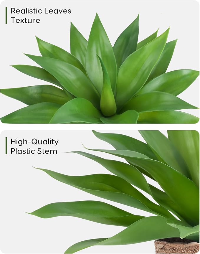 Rattan Pot Agave · 16 in