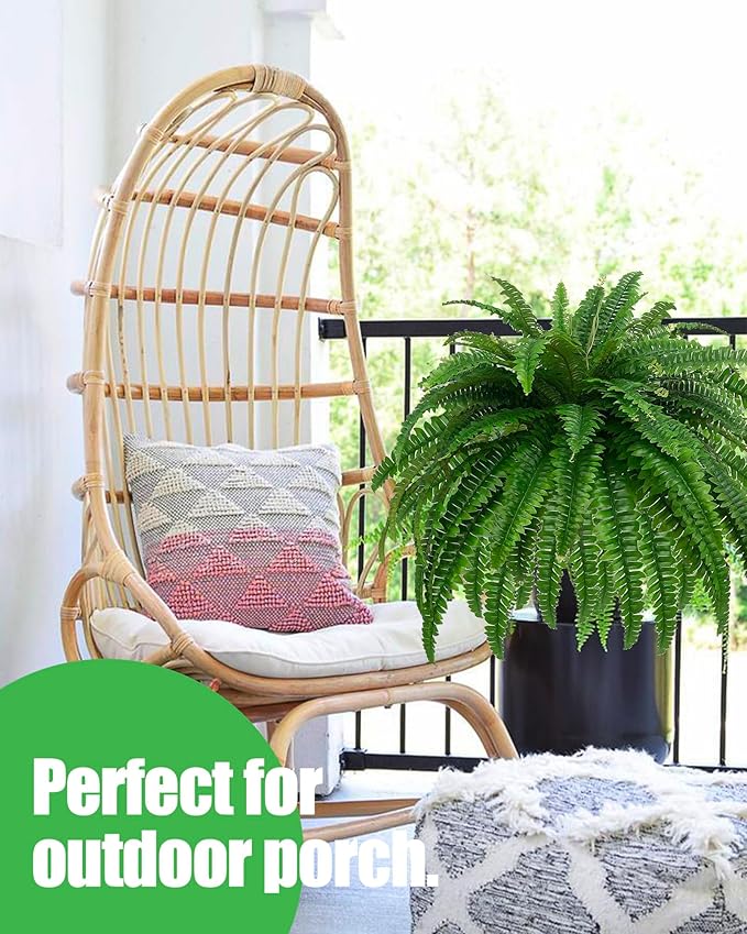 Boston Fern · 48 in