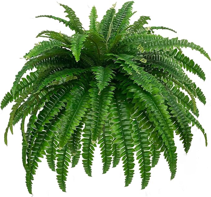Faux Boston Fern