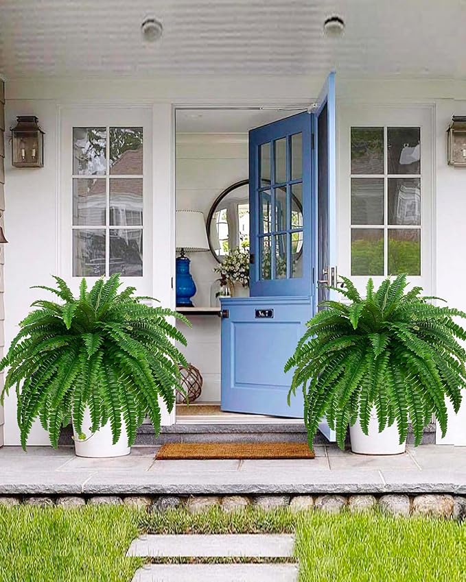 Boston Fern · 48 in