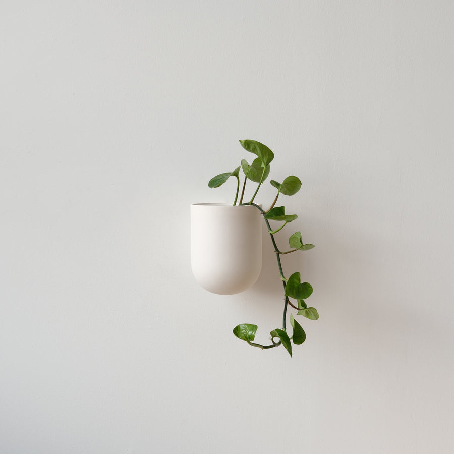 Bone Wall Planter