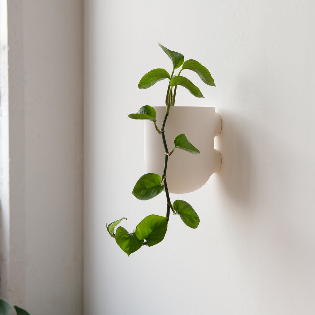 Bender Wall Planter