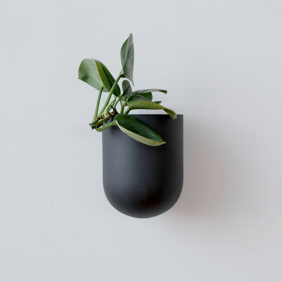 Bender Wall Planter