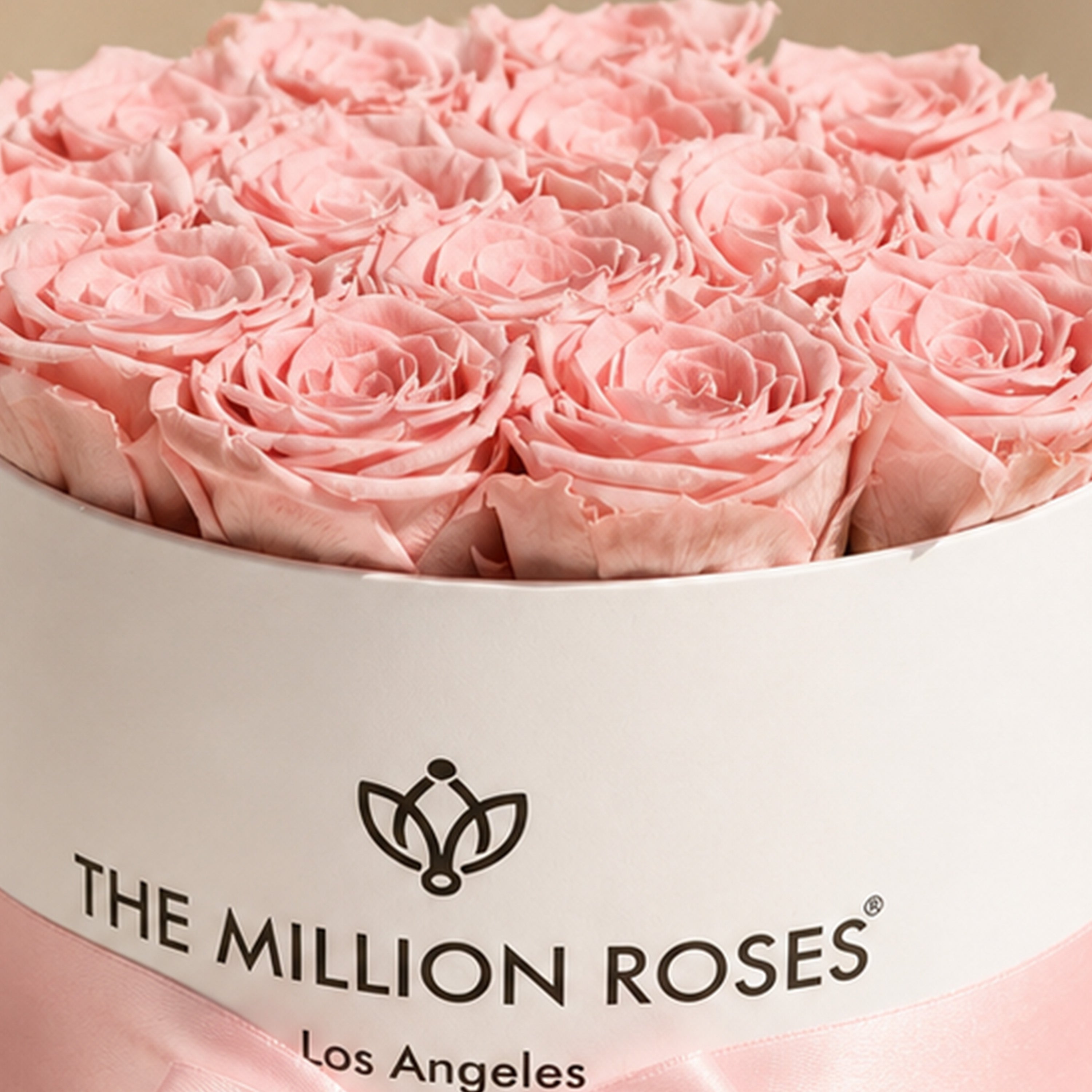 Pink Rose Gift Box