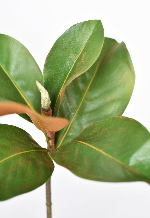 14" Faux Magnolia Leaf Stem