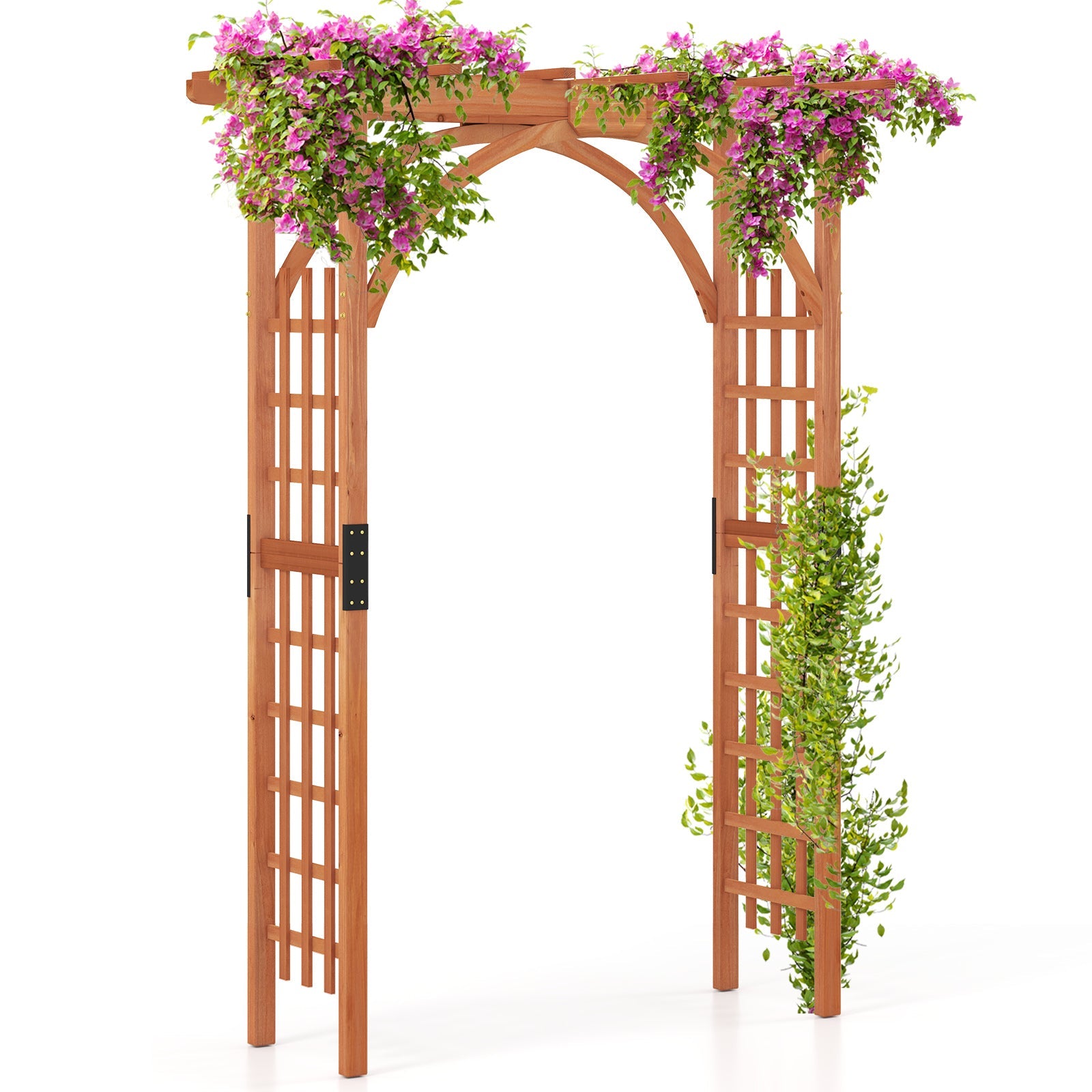 Garden Arch Trellis