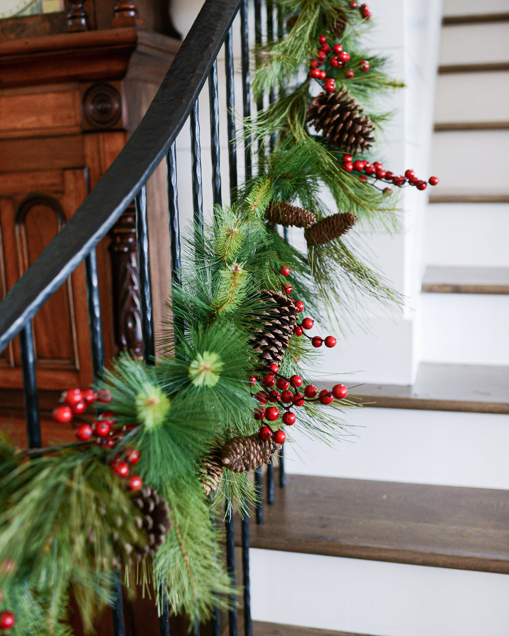 Adirondack Pine Garland, 6 ft.