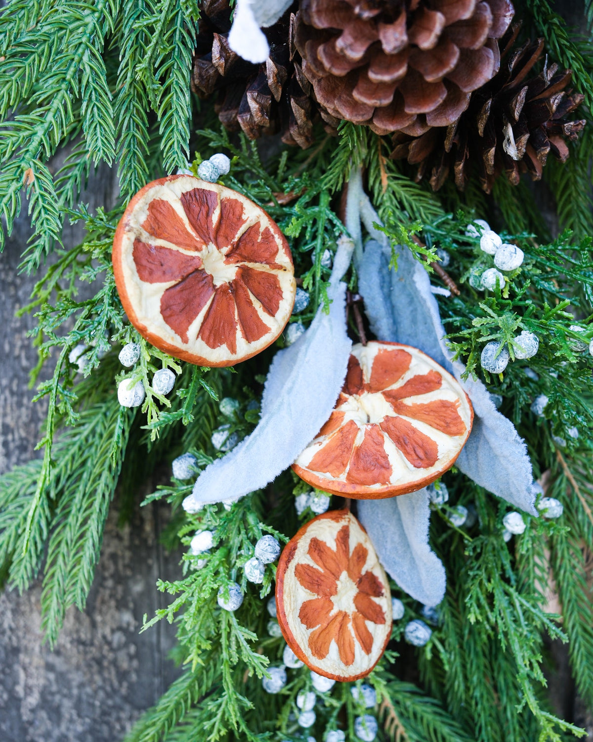 Orange Grove Evergreen Down Drop