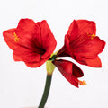 Faux Red Amaryllis Stem