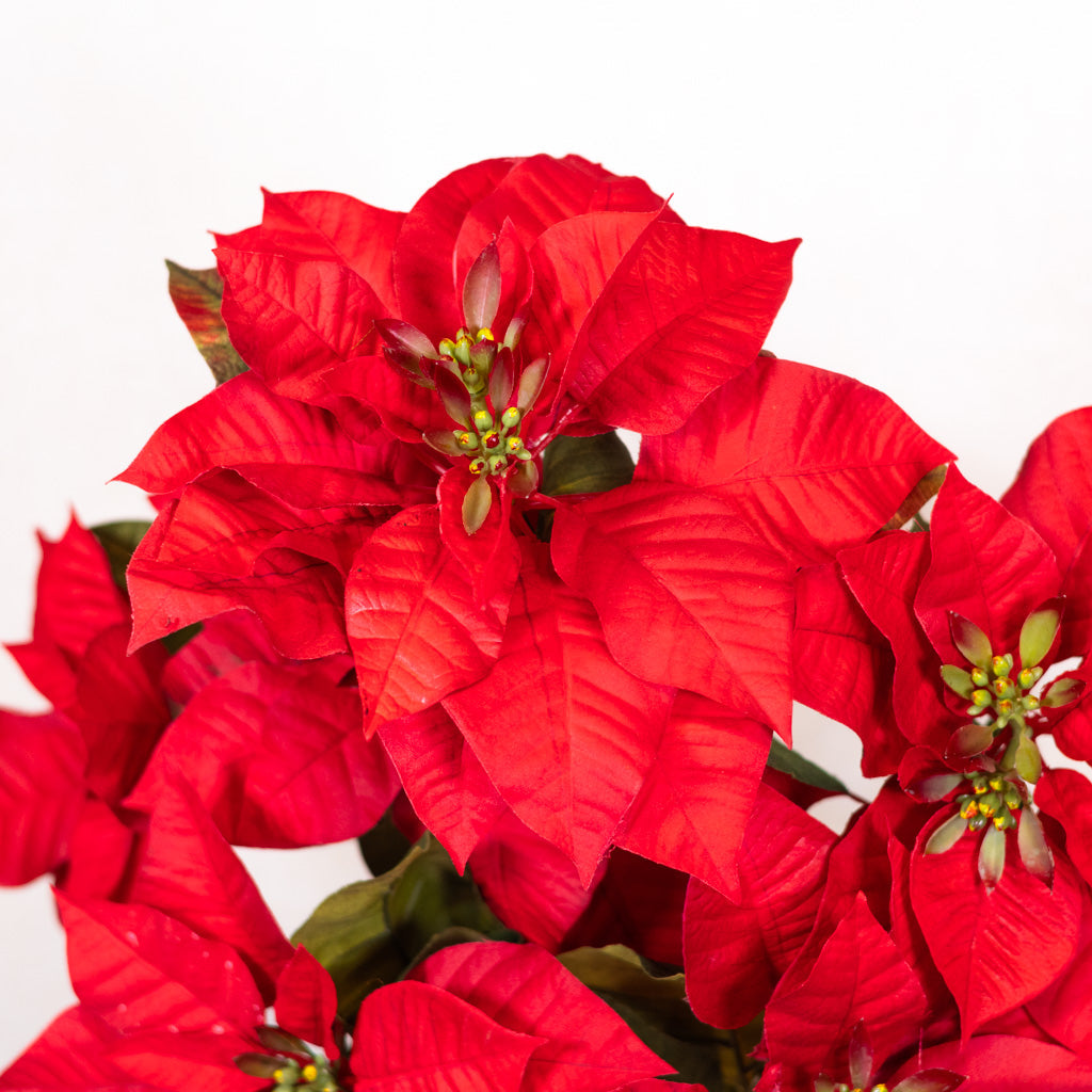 Faux Red Poinsettia Bush