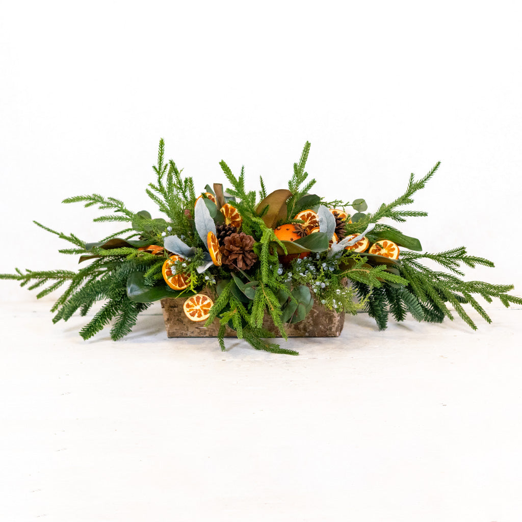 Orange Grove Evergreen Centerpiece