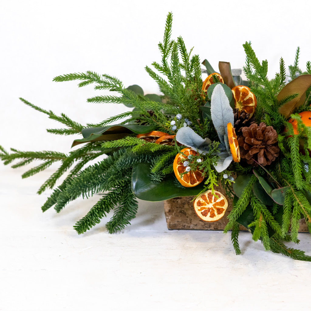 Orange Grove Evergreen Centerpiece