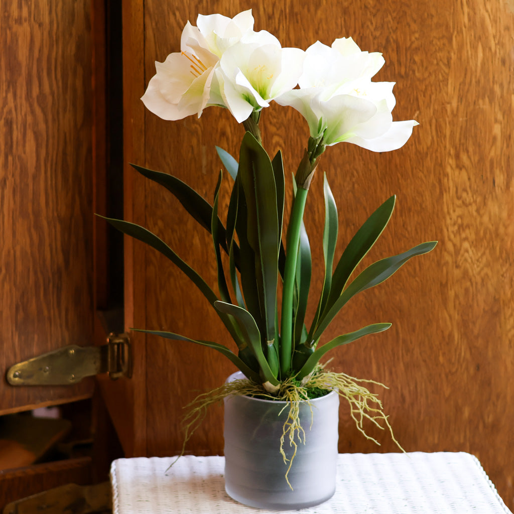 Faux Double White Amaryllis Drop-In