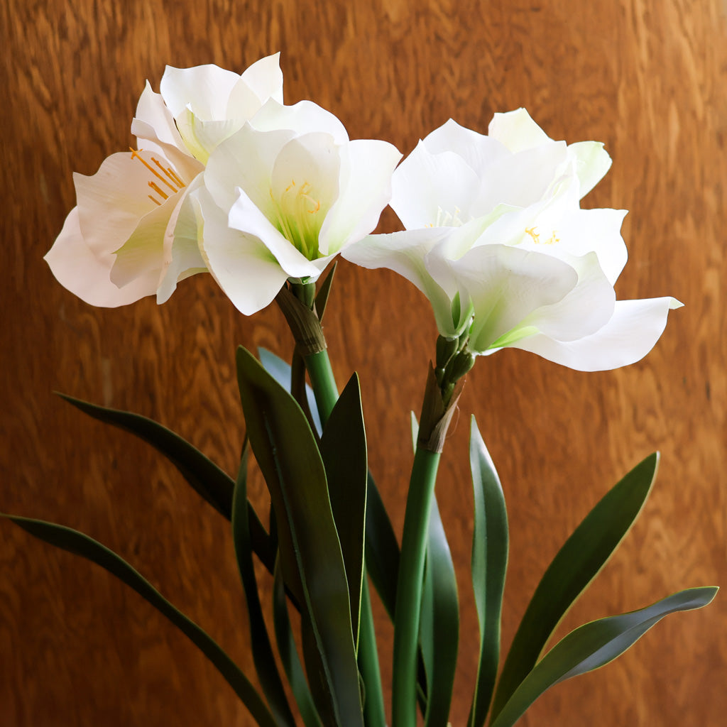Faux Double White Amaryllis Drop-In