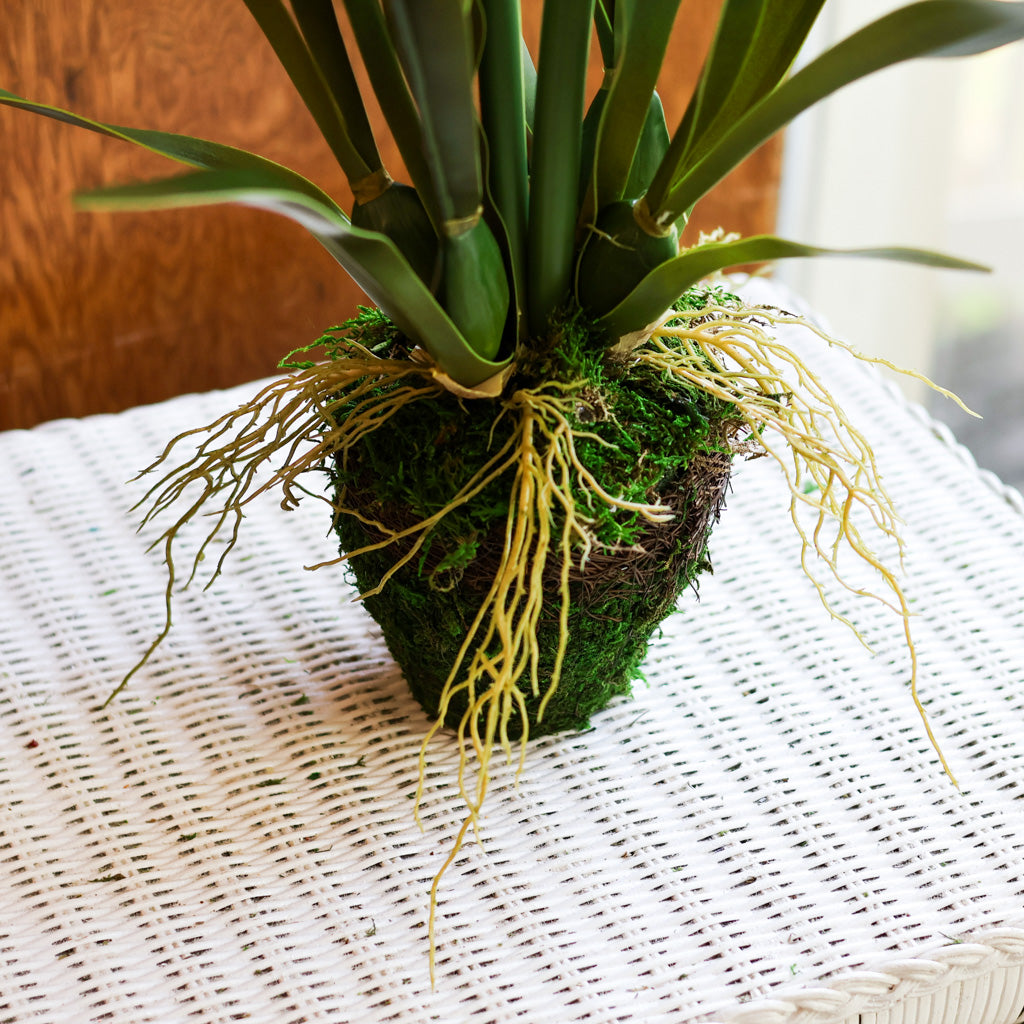 Faux White Amaryllis Drop-In
