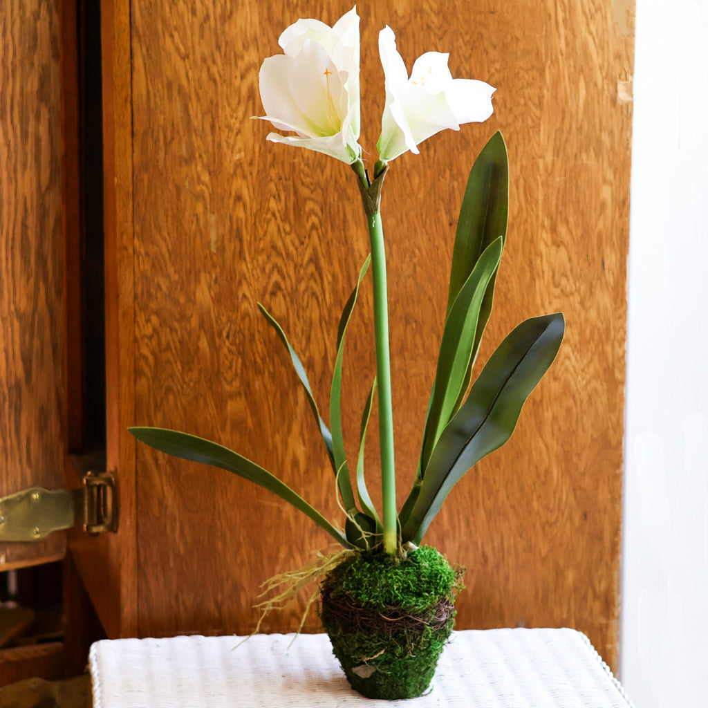 Faux White Amaryllis Drop-In
