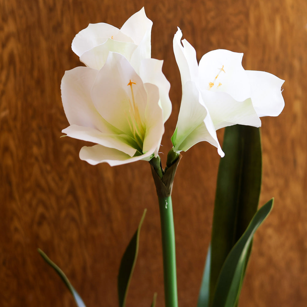 Faux White Amaryllis Drop-In