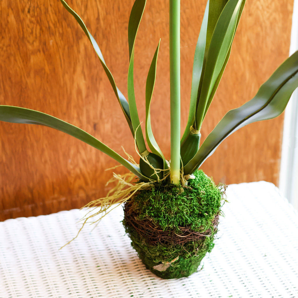 Faux White Amaryllis Drop-In