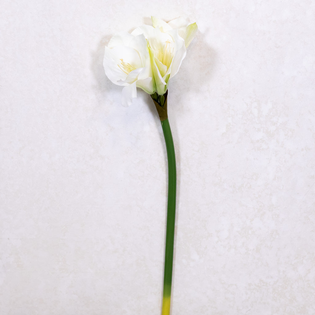 Faux White Amaryllis Stem