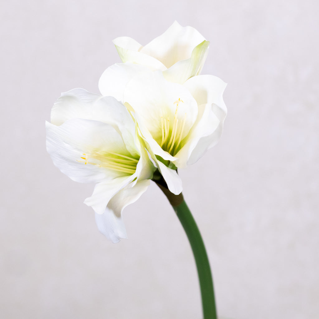 Faux White Amaryllis Stem