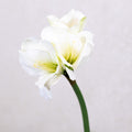 Faux White Amaryllis Stem