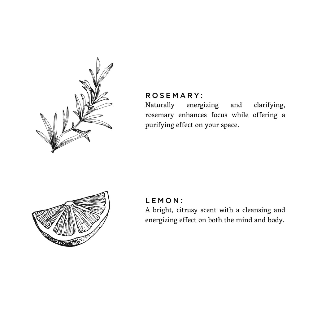 Rosemary + Lemon - Signature 3-Wick Candle
