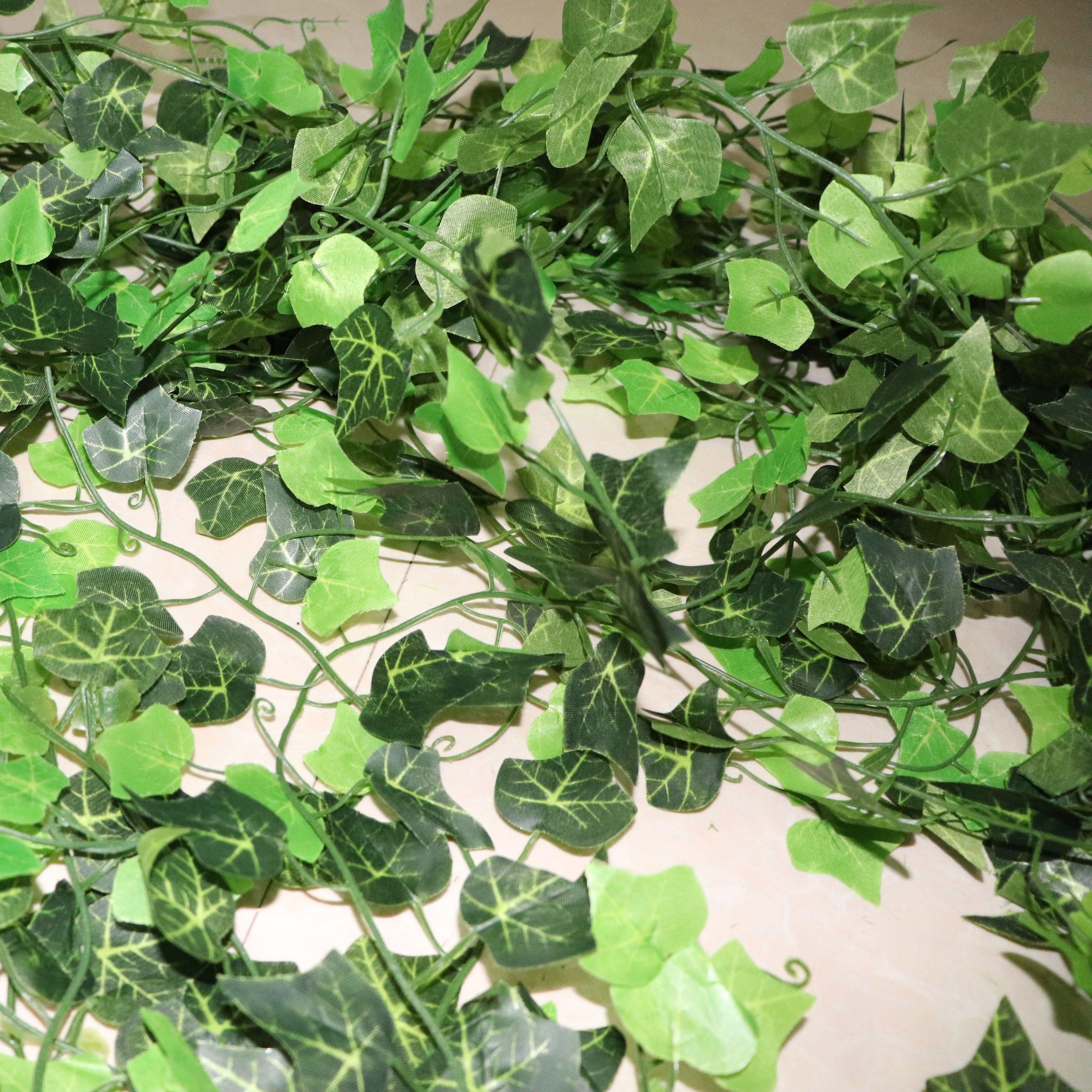 Ivy Hanging Vines
