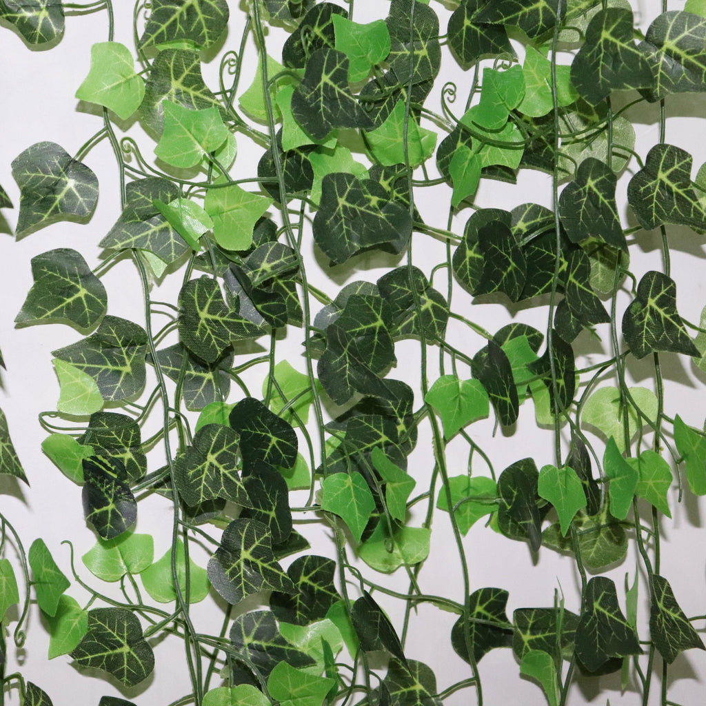 Ivy Hanging Vines