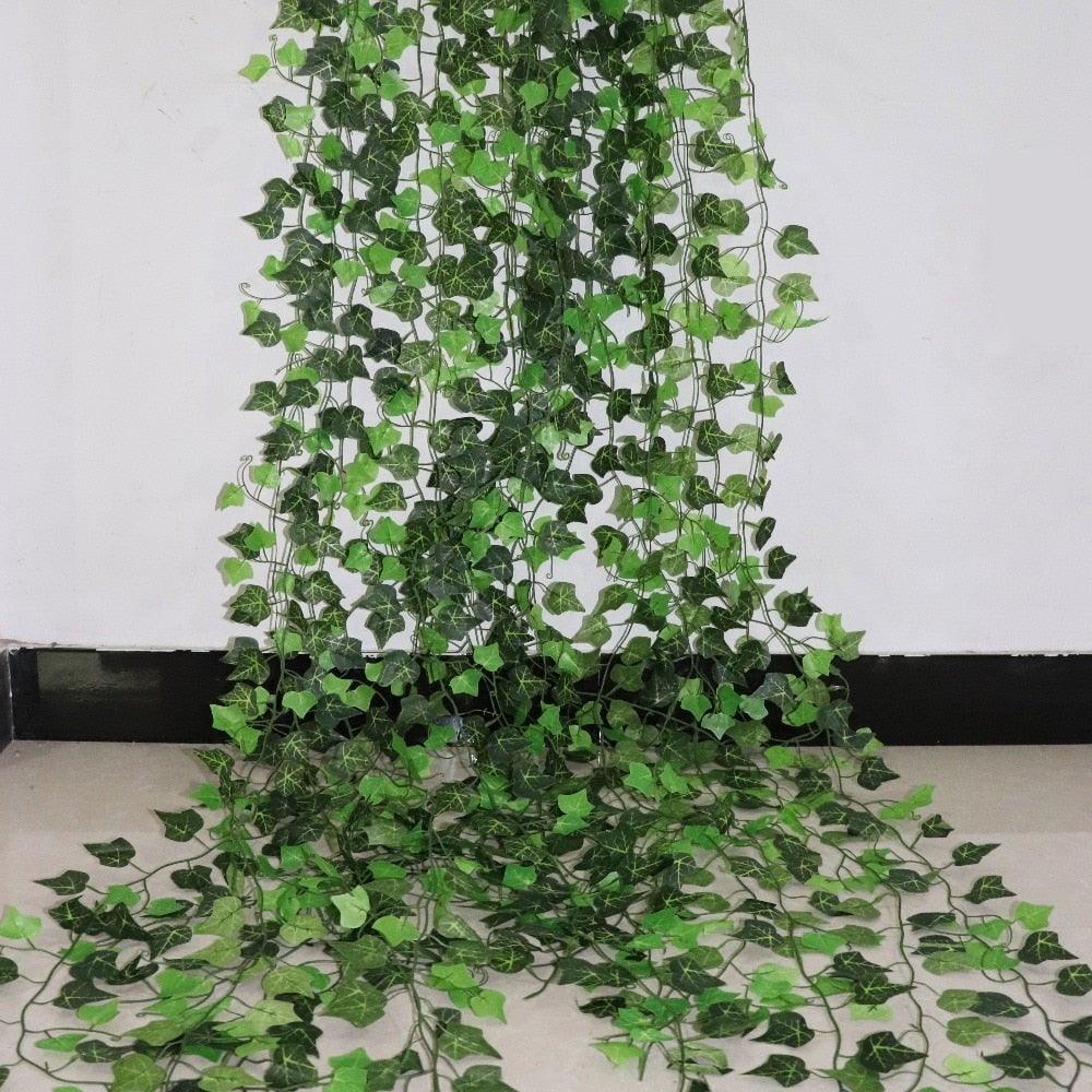 Ivy Hanging Vines
