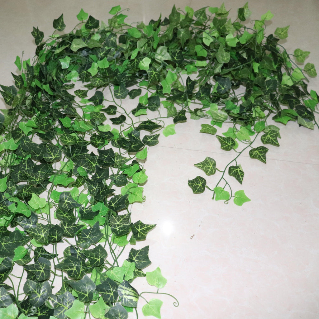 Ivy Hanging Vines