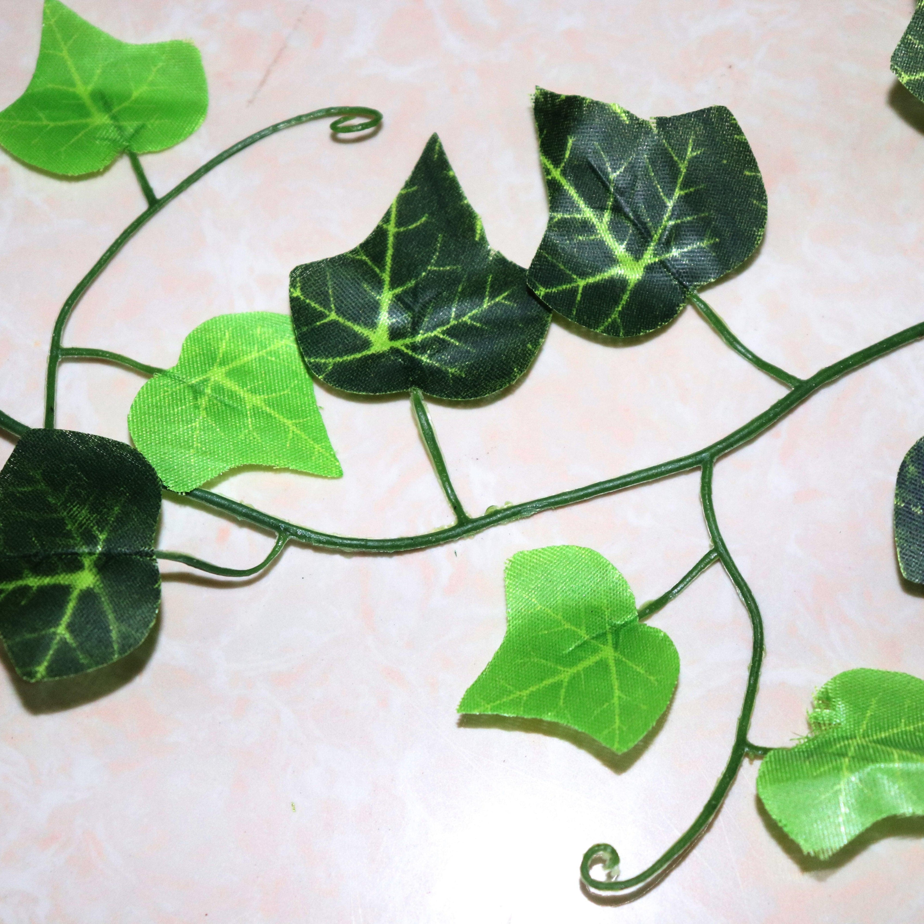 Ivy Hanging Vines