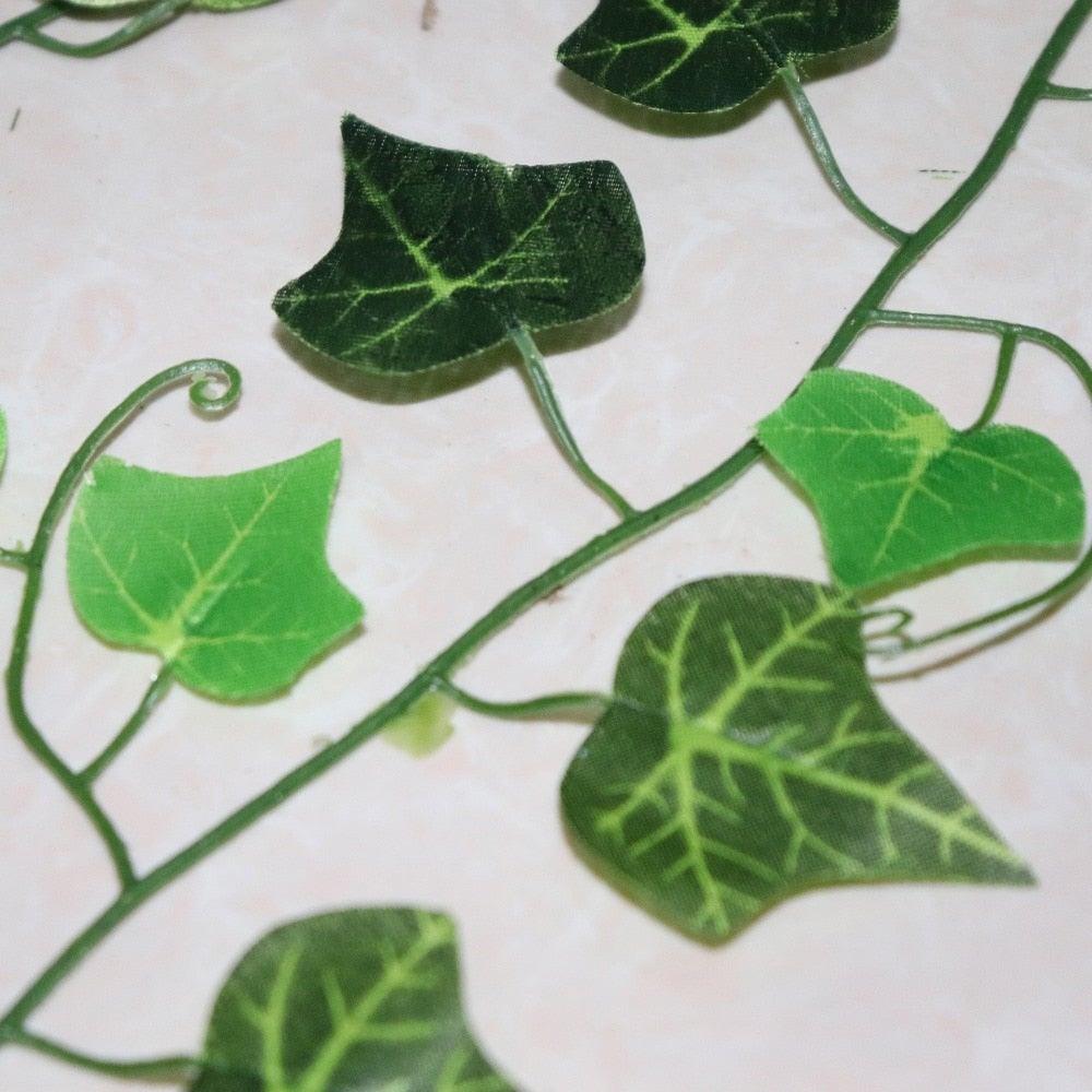 Ivy Hanging Vines