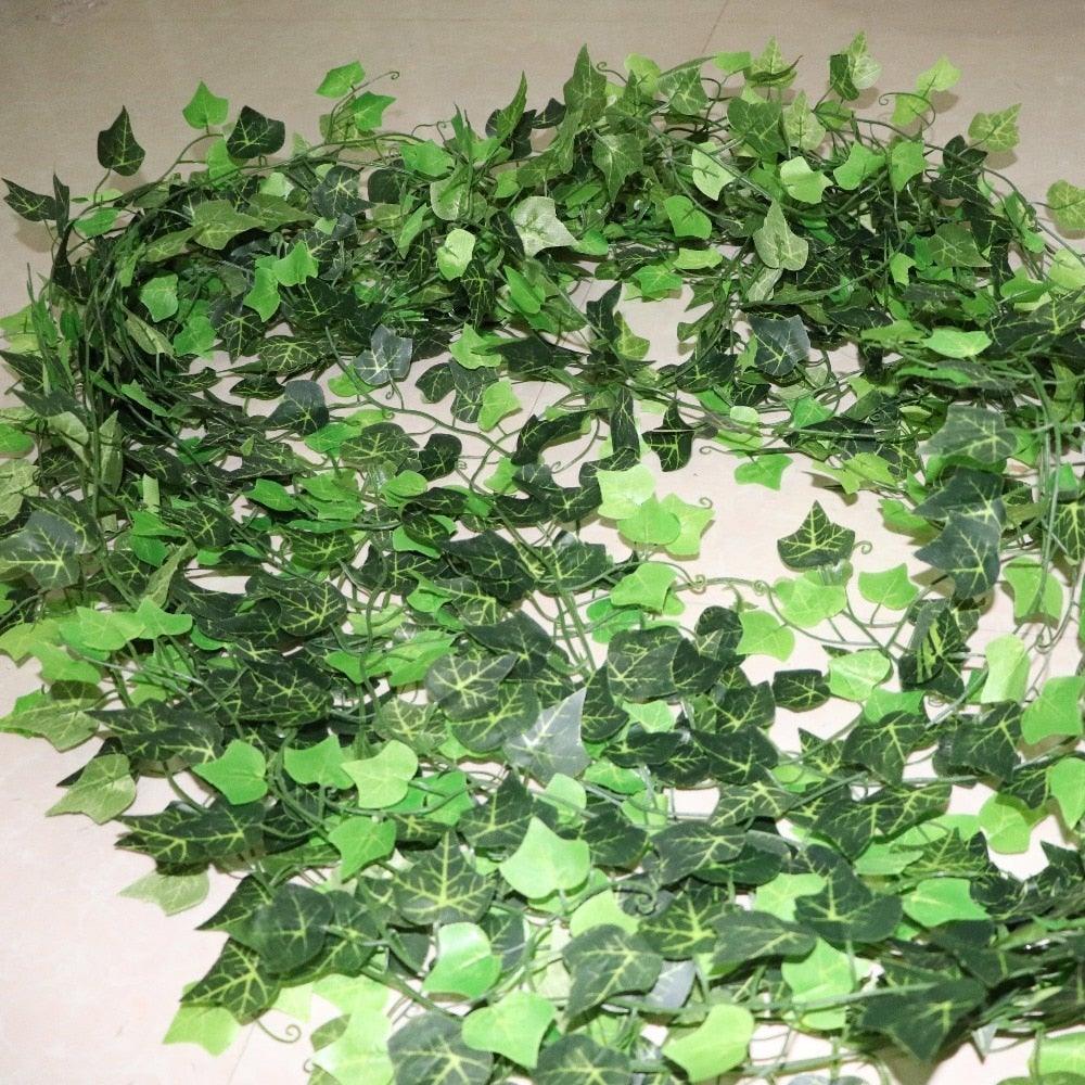 Ivy Hanging Vines