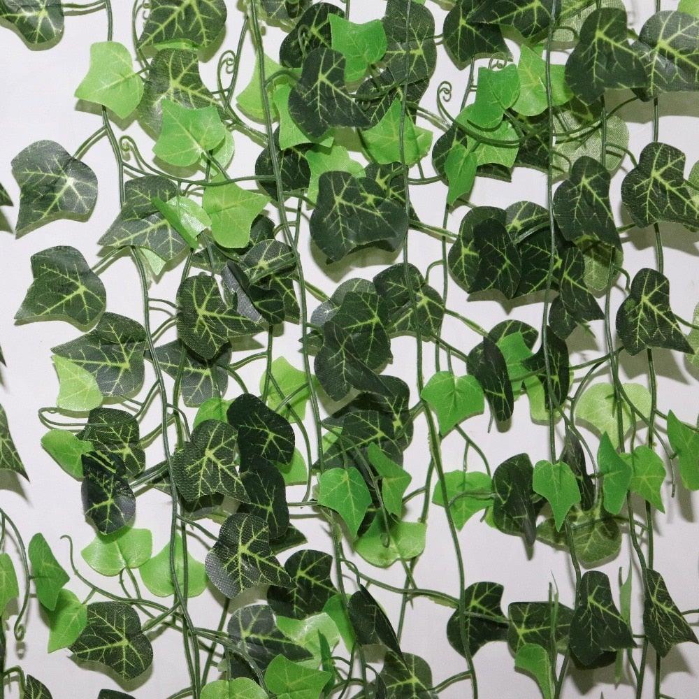 Ivy Hanging Vines