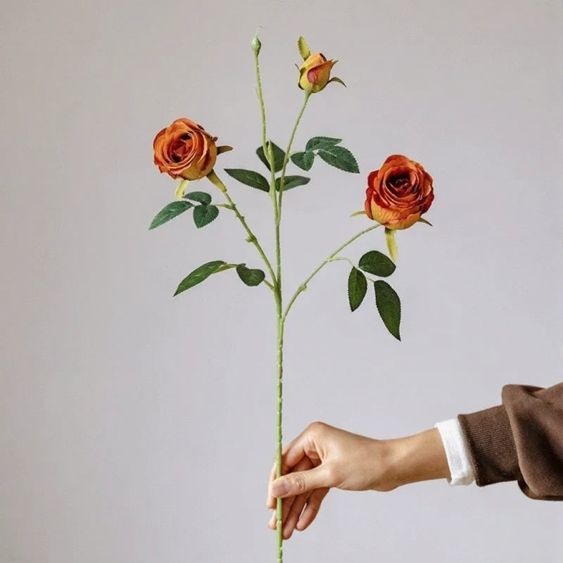 Orange Garden Rose Stem